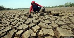 11 Wilayah di NTT Sudah 61 Hari Tak Diguyur Hujan