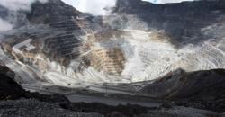 Dirut Inalum Bilang Tak Mudah Kuasai Freeport Indonesia