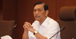 31 Pekerja Jembatan Trans Papua Ditembak KKB, Ini Komentar Menko Luhut