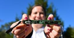 Kamera AI Digunakan untuk Stop Perburuan Liar