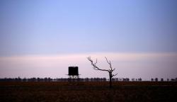 Negara Bagian Queensland Australia Kembali Alami Kekeringan Parah