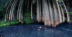 Berendam di Mata Air Sirah Cipelang, Wisata Murah Meriah di Sumedang