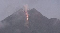 Luncurkan 2 Kali Lava Pijar, Gunung Merapi Alami 20 Kali Gempa Guguran