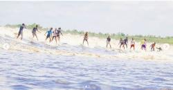 Selancar di Ombak Bono Setinggi 5 Meter, Fenomena Alam yang Mendunia