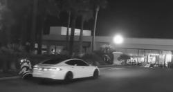 Setelah Manusia, Mobil Swakemudi Tesla Tabrak Robot hingga Mati