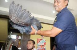Polres Bantul Bongkar Kasus Perdagangan Satwa Dilindungi