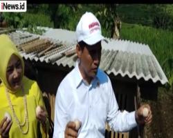 Bantu Penghasilan Rakyat, Menteri Pertanian Panen Telur Ayam Program Bekerja