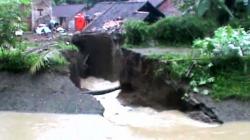 Tanggul Jebol di Demak, Puluhan Hektar Padi Terancam Puso Akibat Terendam Air 