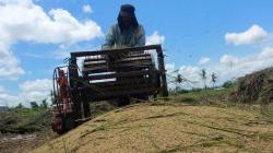 Regenerasi Petani Tak Jalan, Ini yang Digagas Pemkab Bantul