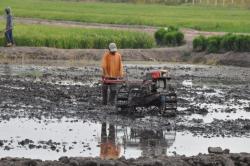 Mekanisasi Pertanian Terbukti Jadi Solusi Kekurangan Tenaga Kerja