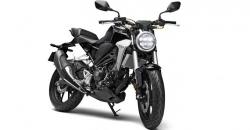 Honda CB300R Meluncur di India 8 Februari, Begini Tampangnya