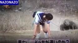 Viral Video Anak Sekolah Jepang Mengajak Komodo Balap Lari