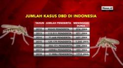 Berikut Data Kasus Demam Berdarah pada 2012-2018