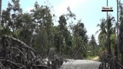 Semburan Lumpur Setinggi 15 Meter di Aceh Membuat Warga Panik