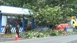 Pos Polisi di Pantura Batang Rusak Parah Tertimpa Pohon Tumbang