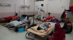 Terlambat Bawa ke RS, Balita Positif DBD di Cimahi Meninggal