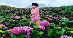 Wisata di Arboretum Sumber Brantas Malang, Unik Ada Titik Nol Mata Air