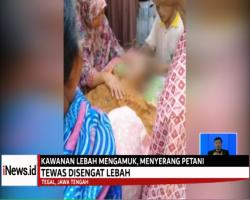6 Petani di Tegal Diserang Lebah, 1 Tewas