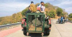 300 Buaya Direlokasi dari Kawasan Patung Tertinggi di Dunia 
