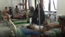 Kasus DBD Capai 2.660 dan 46 Tewas, Pemprov Jatim Belum Tetapkan KLB