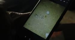 Remaja 19 Tahun di Lombok Barat jadi Korban Peluru Nyasar