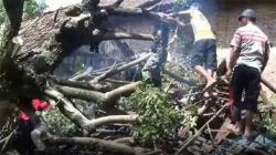 3 Desa di Tuban Diterjang Puting Beliung, 3 Rumah Roboh dan 25 Rusak