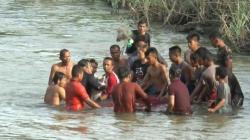 Lumba-Lumba Sungai Kualuh Berhasil Dievakuasi ke Muara Tanjungbalai