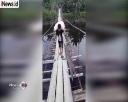Jembatan Rusak, Warga Pasangkayu Bertaruh Nyawa Seberangi Sungai Dihuni Buaya