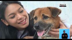 Alya Nurshabrina Dukung Gerakan 'Indonesia Tidak Konsumsi Anjing' di Yogyakarta