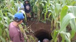 Warga Gunungkidul Dikejutkan Kemunculan Puluhan Lubang Misterius