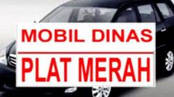 Sambut Prabowo dengan Mobdin, Waket DPRD Gunungkidul Divonis 2 Bulan