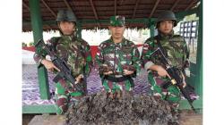Prajurit Kostrad Amankan 21 Kg Vanili Ilegal di Perbatasan Papua
