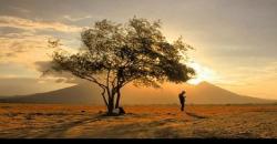 Wisata Banyuwangi, Lihat Satwa Liar di Taman Baluran yang Mirip Afrika