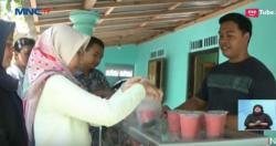 DBD Mewabah, Penjual Jus Jambu Merah Meningkat