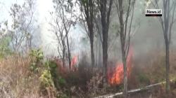 Cegah Pembakaran Hutan, Menteri LHK Siapkan Sanksi Berat