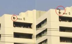 Viral, Bocah Jatuh dari Atap Rumah Sakit dan Diselamatkan Giant Letter