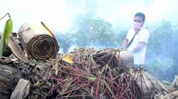 DBD Marak, Caleg dan Kader Partai Perindo Makin Rajin Fogging di Medan