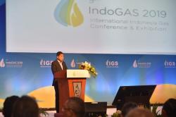 EBT Berkembang Pesat, Menteri Jonan Harap Industri Gas Bisa Kompetitif