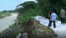 Tanggul Sungai Cisanggarung Longsor, Banjir Besar Ancam Warga Brebes