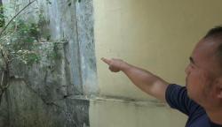 Ribuan Ulat Serang Permukiman Warga, Gedung PKK, dan KUA Pasar Minggu