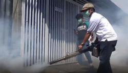 Cegah DBD, Partai Perindo Fogging Ratusan Rumah Warga di Makassar