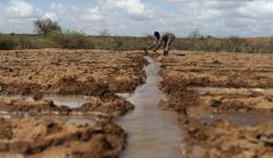 Kekeringan di Somalia, 725.000 Orang Terancam Krisis Kelaparan