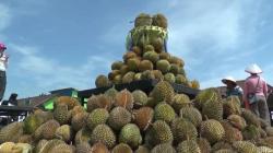 Festival Durian di Kalsel Tahun 2021 Ditiadakan