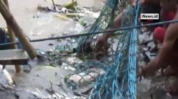 Hanyut 3 Hari di Sungai, Jasad Bocah 5 Tahun di Sulsel Ditemukan 40 Km dari TKP