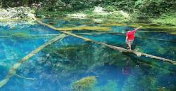 Telaga Biru, Danau Alami di Jambi yang Indah karena Ada Pohon Tumbang