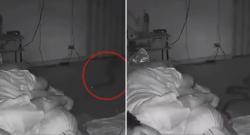 Terekam CCTV, Ular Masuk Kamar saat Perempuan Ini Tidur