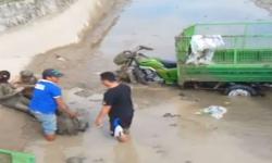 Motor Rombongan Mahasiswa STIE Mamuju Terjun ke Parit, 4 Luka Serius