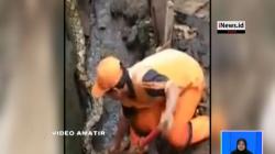 Video Petugas Kebersihan Tangkap Ular Sanca 3 Meter di Pasar Minggu