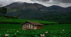 Terpikat Pesona Lereng Gunung Welirang Mojokerto, Indah Mirip Swiss