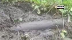 Video Penemuan Bom Misil Sisa Perang Dunia II di Papua